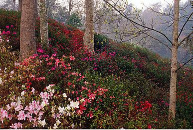 《阴角恋爱喜剧》确定登陆Switch＆Steam 怪胎男攻略日常